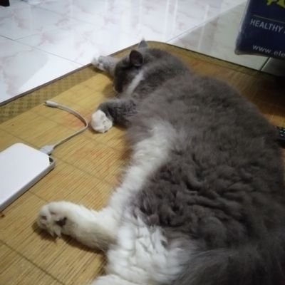 rrtoo_'s profile picture. ........