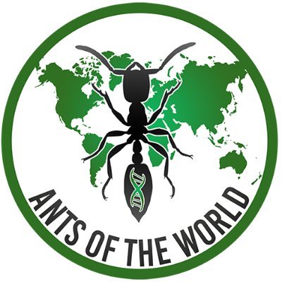 The Official Twitter feed of The NSF's Ants of the World Project 🐜🌍

Follow for project updates from the field, upcoming events, ant facts, and more!