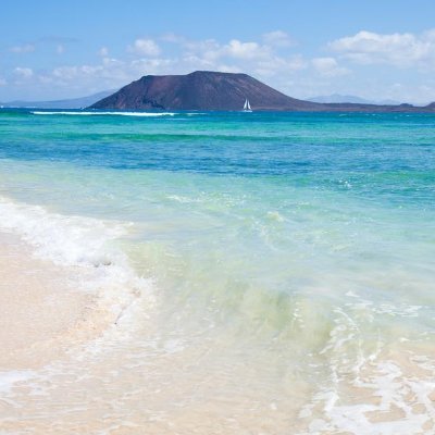 FergusDonaldson's profile picture. 