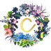 chloedheorain (@chloedheorain) Twitter profile photo chloedheorain (@chloedheorain) Twitter profile photo