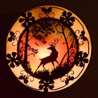Forest Tracker πΊπ¦ (@tracking_signs) 's Twitter Profile
