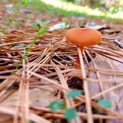 slwflynn's profile picture. 