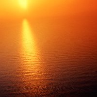 Ellis Maytham (@ellismaytham) 's Twitter Profile Photo