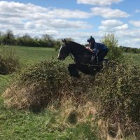 Harry O’Dwyer (@harryodwyer8) 's Twitter Profile