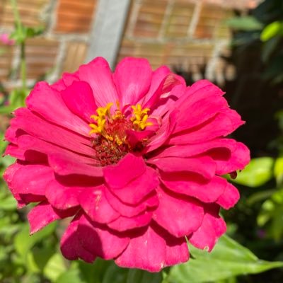 aaos090398's profile picture. 