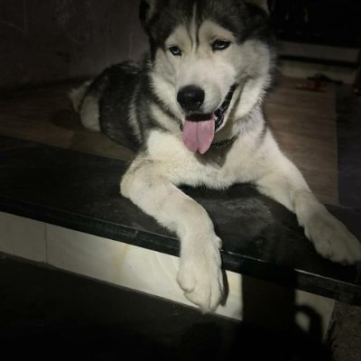 avadhoot_kawade's profile picture. Its avadhoot kawade official