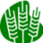 iglcasadepan's profile image