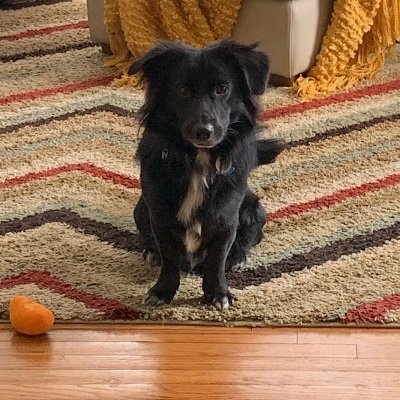 Kevicio178's profile picture. 