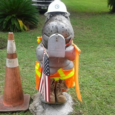 Dolphins fan since 1966
likes uppity hillbilly music