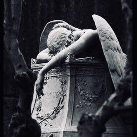 3ullrr's profile picture. ᷂غيرَ ᷂اعْتِياديّ💡