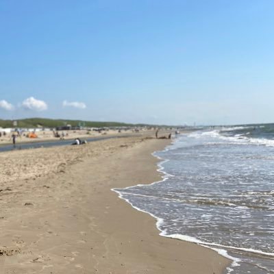 sjhoeve's profile picture. 