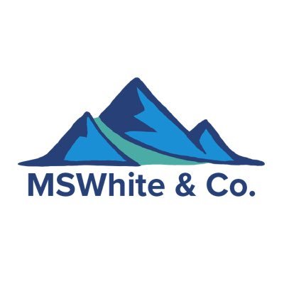 MSWhiteCo's profile picture. Responsive and Accessible. The websites we build and our way of doing things.