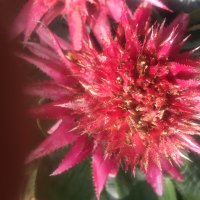 Helen Singh (@helenjsingh) 's Twitter Profile