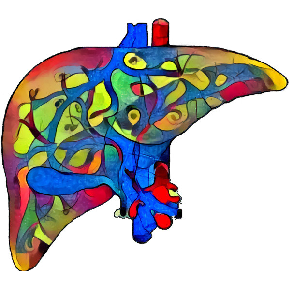 The project ALive aims to change they way surgeons think and perform liver resections with the use of computational geometry, visualization and AI.