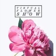 Virtual Flower Show (@vir_flower_show) 's Twitter Profile Photo Virtual Flower Show (@vir_flower_show) 's Twitter Profile Photo