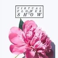 Virtual Flower Show(@vir_flower_show) 's Twitter Profile Photo