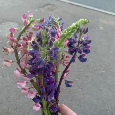 XGlPmPjzzD6vFAj's profile picture. 