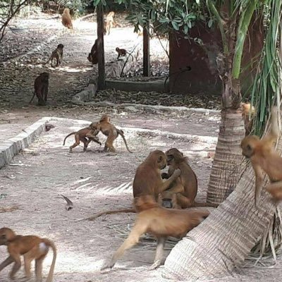 YankubaCamara15's profile picture. 