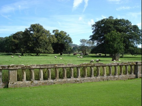 angeandleaf's profile picture. インテリアコーディネーター