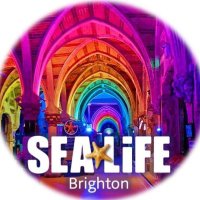 SEA LIFE Brighton (@sealifebrighton) 's Twitter Profile