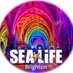 SEA LIFE Brighton (@sealifebrighton) Twitter profile photo SEA LIFE Brighton (@sealifebrighton) Twitter profile photo