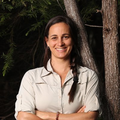 Renee Piccolo Profile