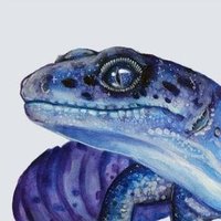 TheSnekkiestOfSneks (@geicowoa) 's Twitter Profile