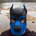 PupCirrus (@pupcirrus) Twitter profile photo PupCirrus (@pupcirrus) Twitter profile photo