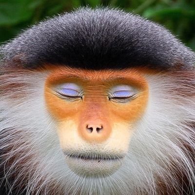 sagemacac's profile picture. Défenseur de la pensée libre. D&D Chaotique Bon. Nature et travail manuel. Ingénieur, programmeur, entrepreneur, pro anonymat.