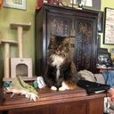 That’s Dr. Missy to you! - @Joanna_Crosby_ - Twitter