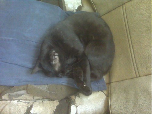 jimbomed23's profile picture. 