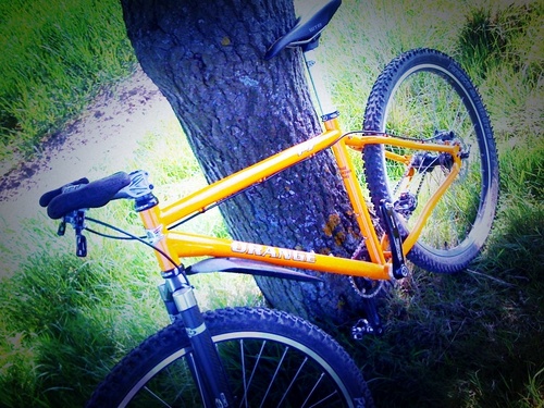 PFraz's profile picture. Married to Catherine with 2 great girls,enjoy live guitar and a bit of prog. enjoy cycling both MTb and road.