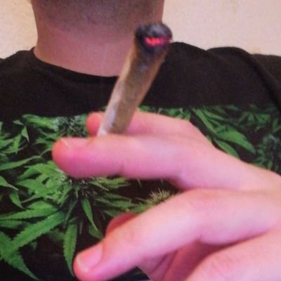 Mexa 🔥

Cannabis 🌘

Comida👹