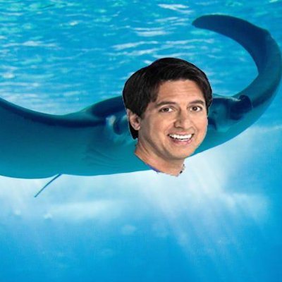 I'm Manta Ray Romano, not Ray Romano, the star of the classic TV series 