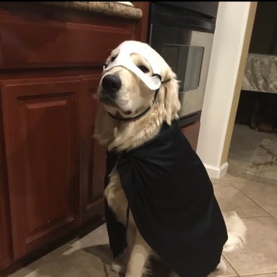 bdizzledlux's profile picture. Shenanigans Expert