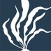 Seaweed for Europe (@seaweedeurope) Twitter profile photo Seaweed for Europe (@seaweedeurope) Twitter profile photo
