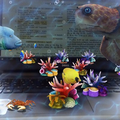 Peruvian biologist who studies macroalgae and is in love with the sea :)
