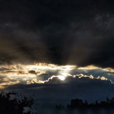 JoseTepi's profile picture. 