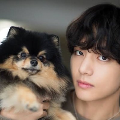 Yeontan 💜さんのプロフィール画像