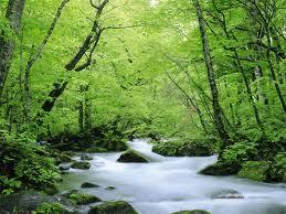 Mother of 3, just discovered EFT and Donna Eden Energy Medicine and loving them. They are changing my life and I wanted to share!