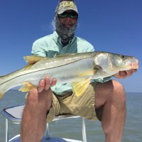 Mike Miller(@Nodeadbait) 's Twitter Profile Photo