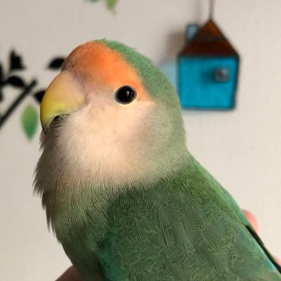しあんさんのプロフィール画像