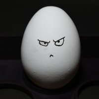 EggNaug (@egg_naug) 's Twitter Profile