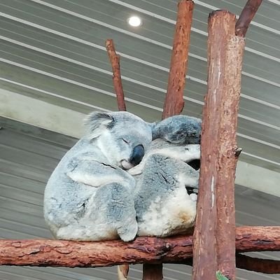 tQT370s5H0Y28Ax's profile picture. 