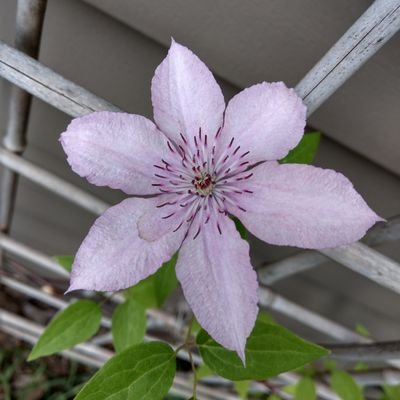 brocarann's profile picture. human. views are my own.