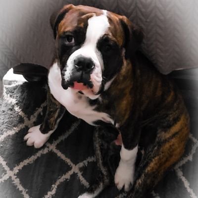 LarkinChanning's profile picture. God fearing man and Jesus follower first and foremost. Love my family and my kids are my world. Man's opinion holds no weight in your life. Be great daily.