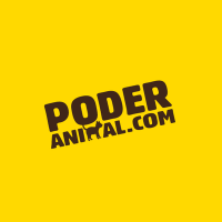 #Poderanimal 🐕💛🐈(@poderanimal) 's Twitter Profile Photo