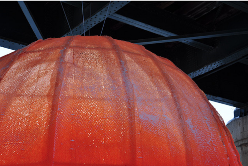 hivernant's profile picture. Restoration ecologist. Passion for scientific writing (@SciwriteU) and ecological literacy.