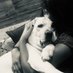 Preeti Sharma (@preeti2494) Twitter profile photo Preeti Sharma (@preeti2494) Twitter profile photo