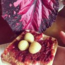 Eve Hill - @EveHill49802669 - Twitter